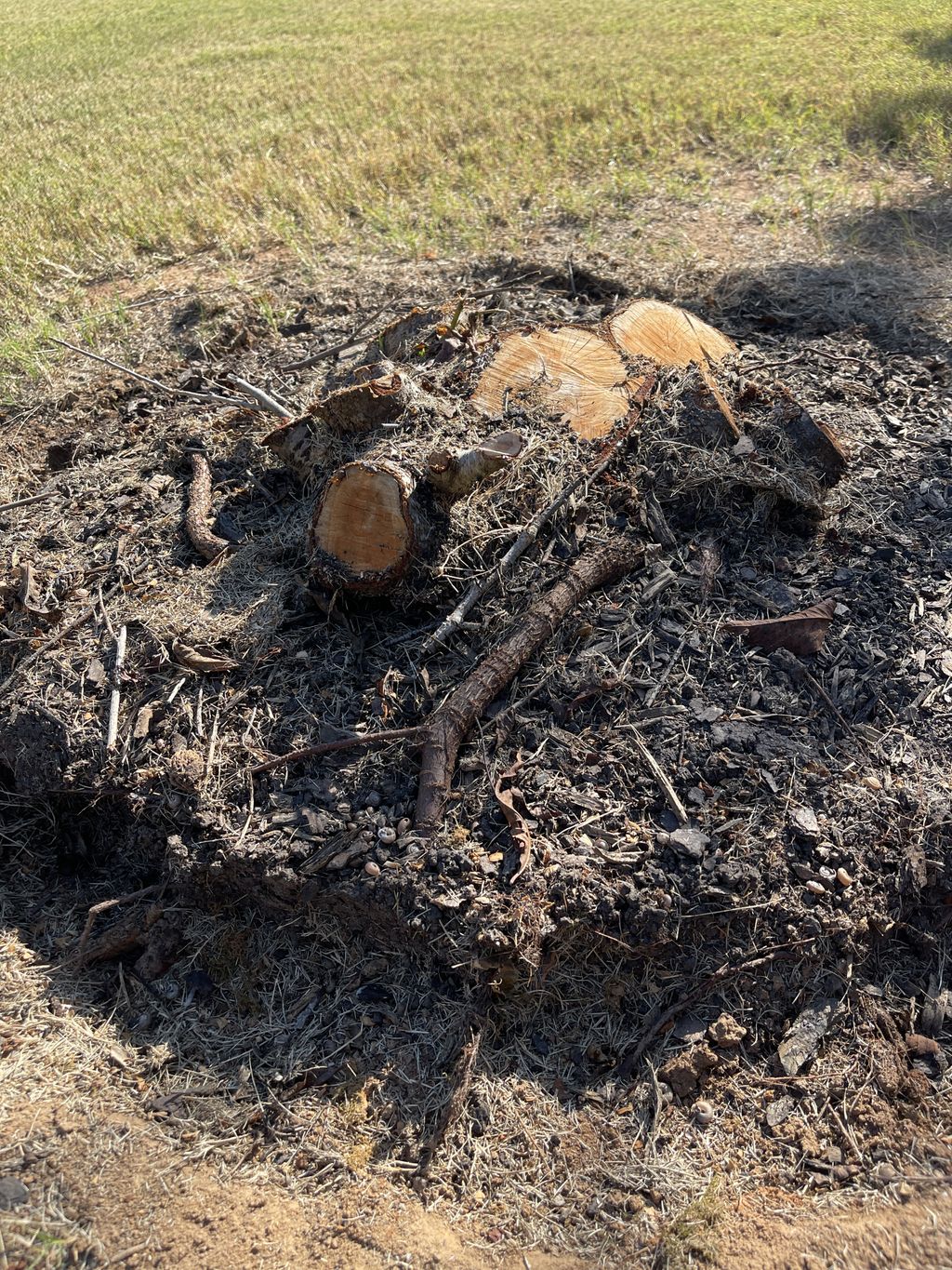 Tree Stump Grinding and Removal