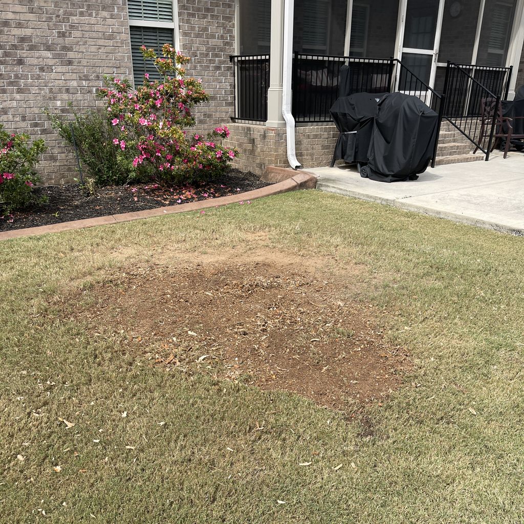 Tree Stump Grinding and Removal project from 2023