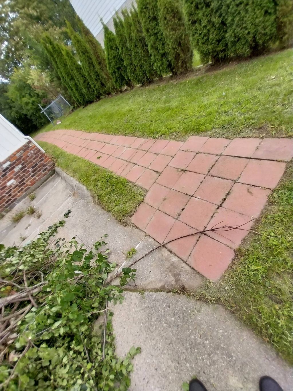 Lawn cut and brick pathway restoration 