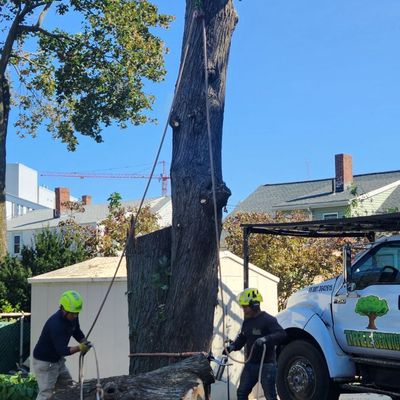 Avatar for Quality & Pro Tree Service
