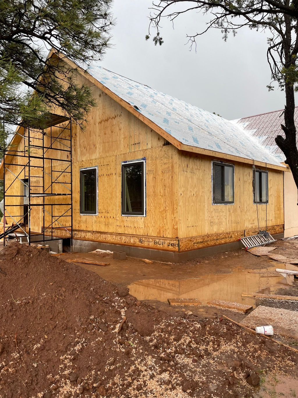 Projects and media