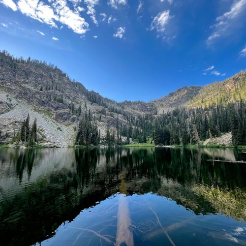 Alpine Creek Enterprises, LLC