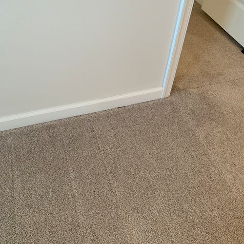 Needed a patch of our carpet repaired from our dog