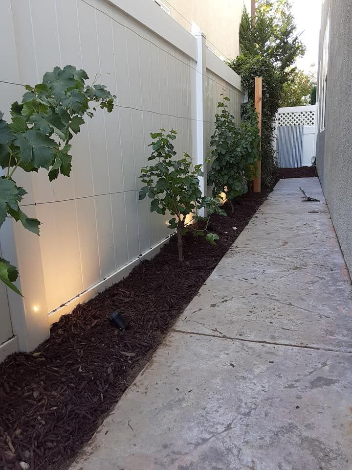 Landscape lighting