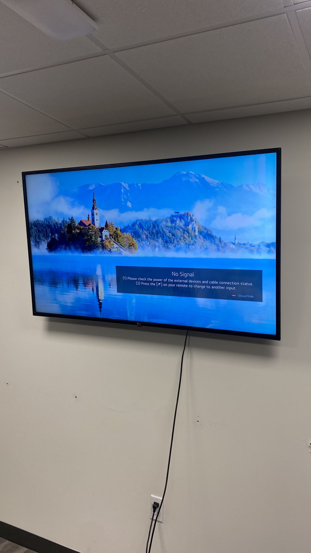 Projects and media