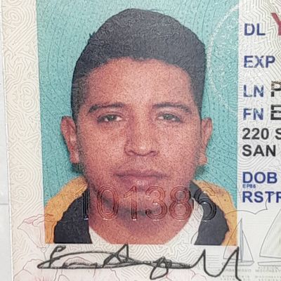 Avatar for Elmer perez