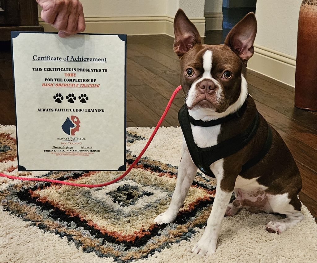 Toby Graduated!