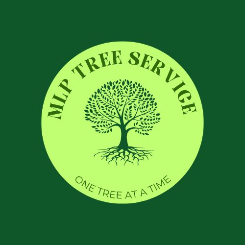 MLP Tree Service LLC