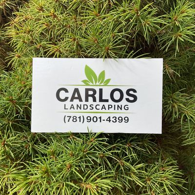 Avatar for CARLOS LANDSCAPING LLC