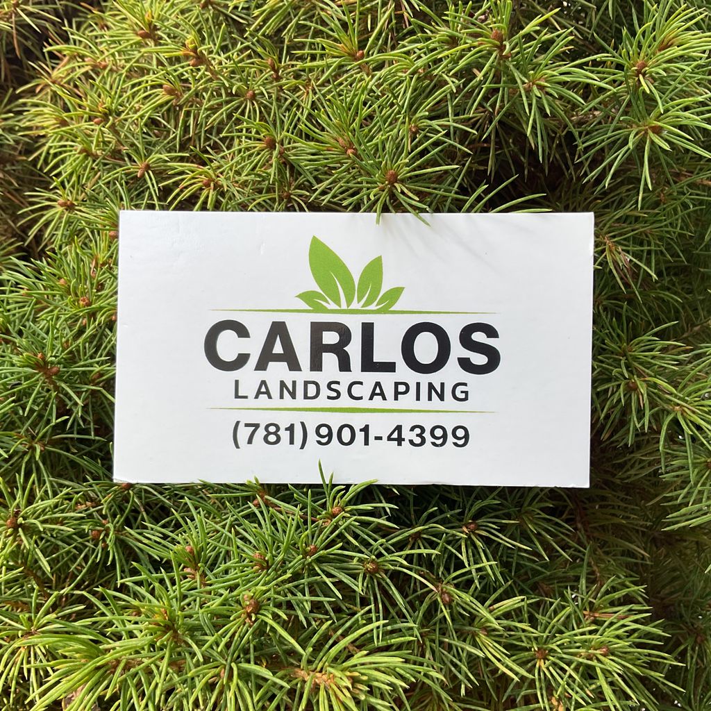 CARLOS LANDSCAPING LLC