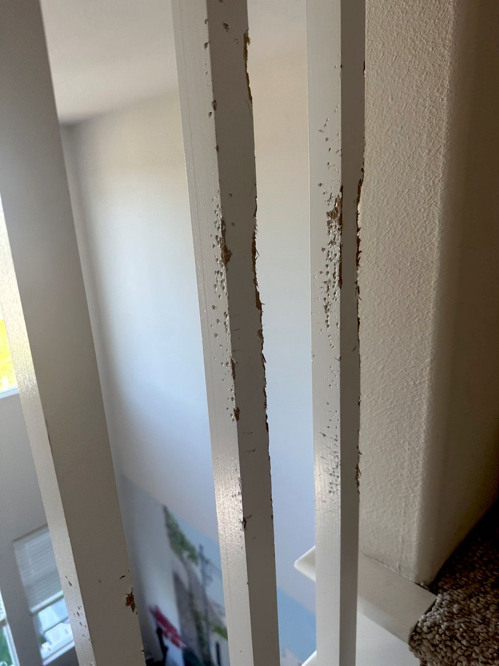Customer photos