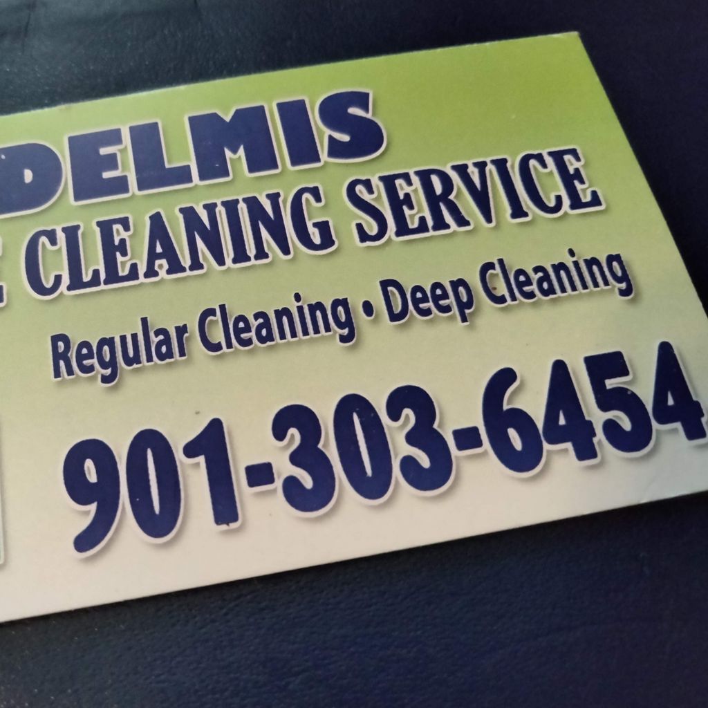Delmis  cleaning services