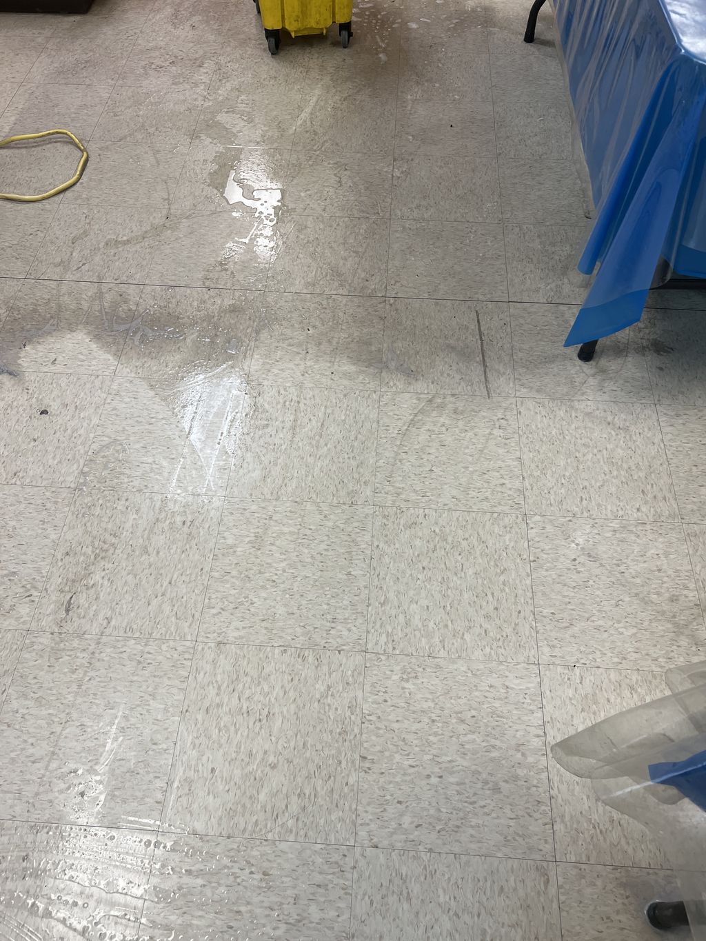 Floor Cleaning