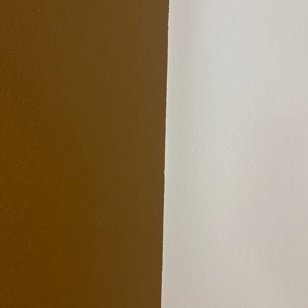 Two brothers Paintinhg llc