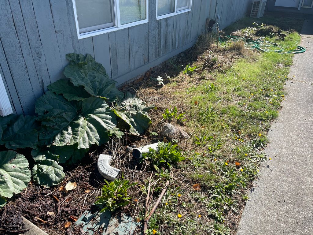  Flower bed clean up before