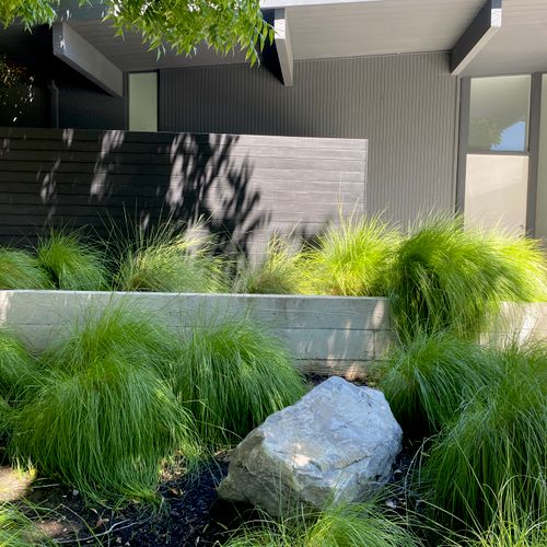 Front Yard [Modern Design] #2 - Numa Gardens