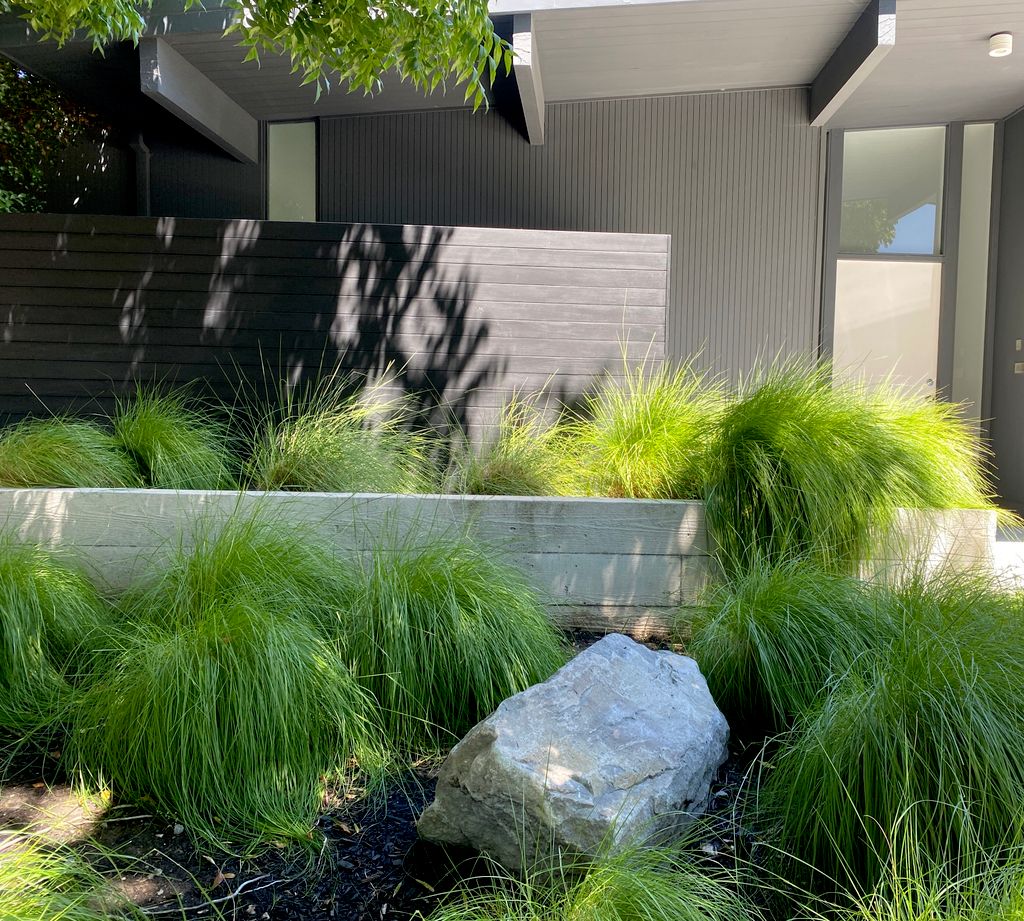 Front Yard [Modern Design] #2 - Numa Gardens