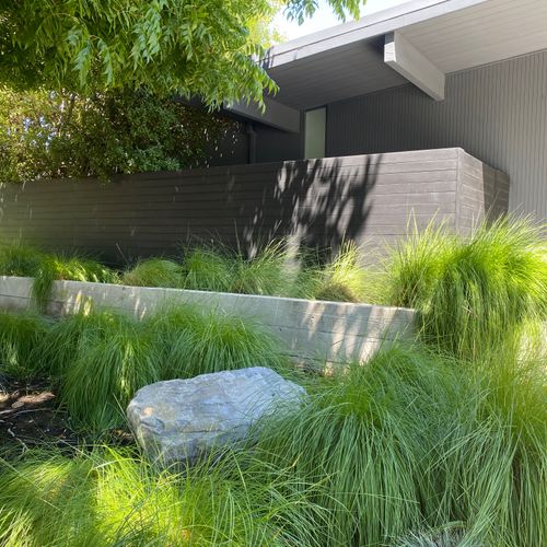 Front Yard [Modern Design] #1 - Numa Gardens