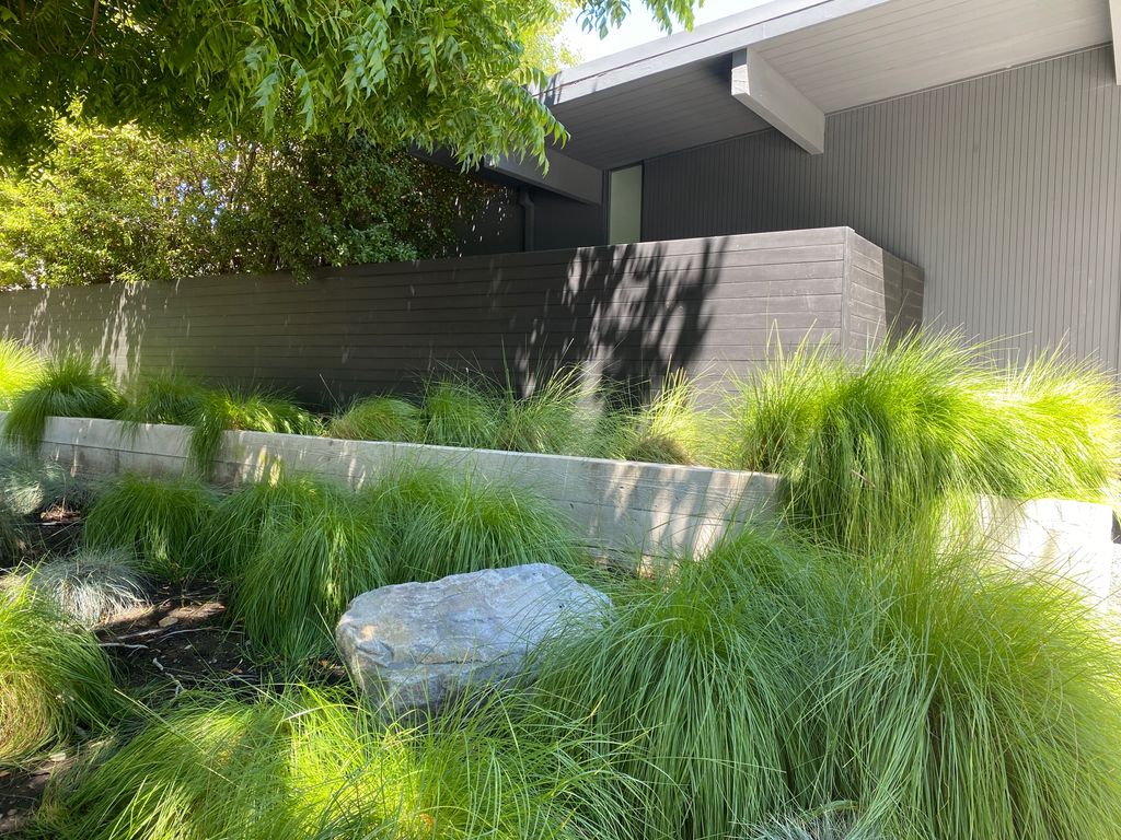 Front Yard [Modern Design] #1 - Numa Gardens