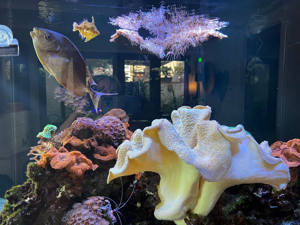 Customer photos