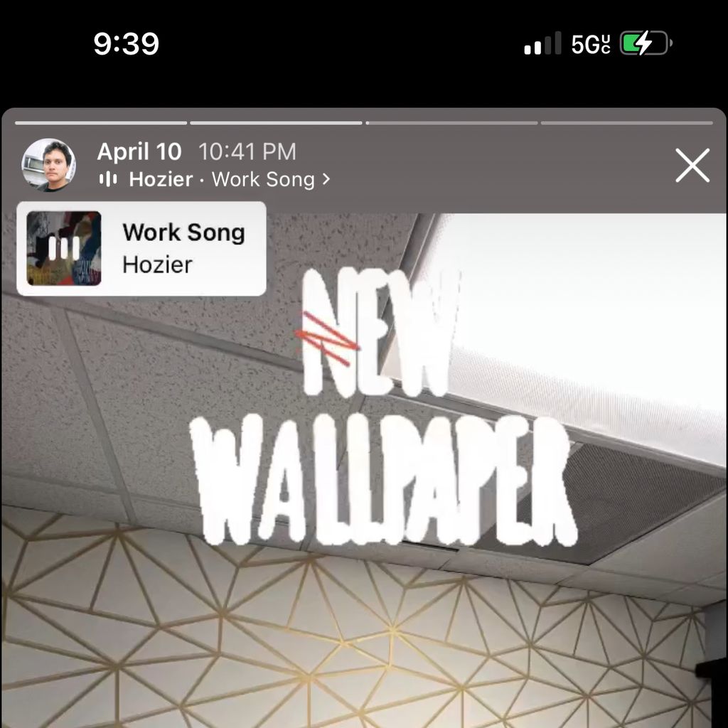 pro avatar