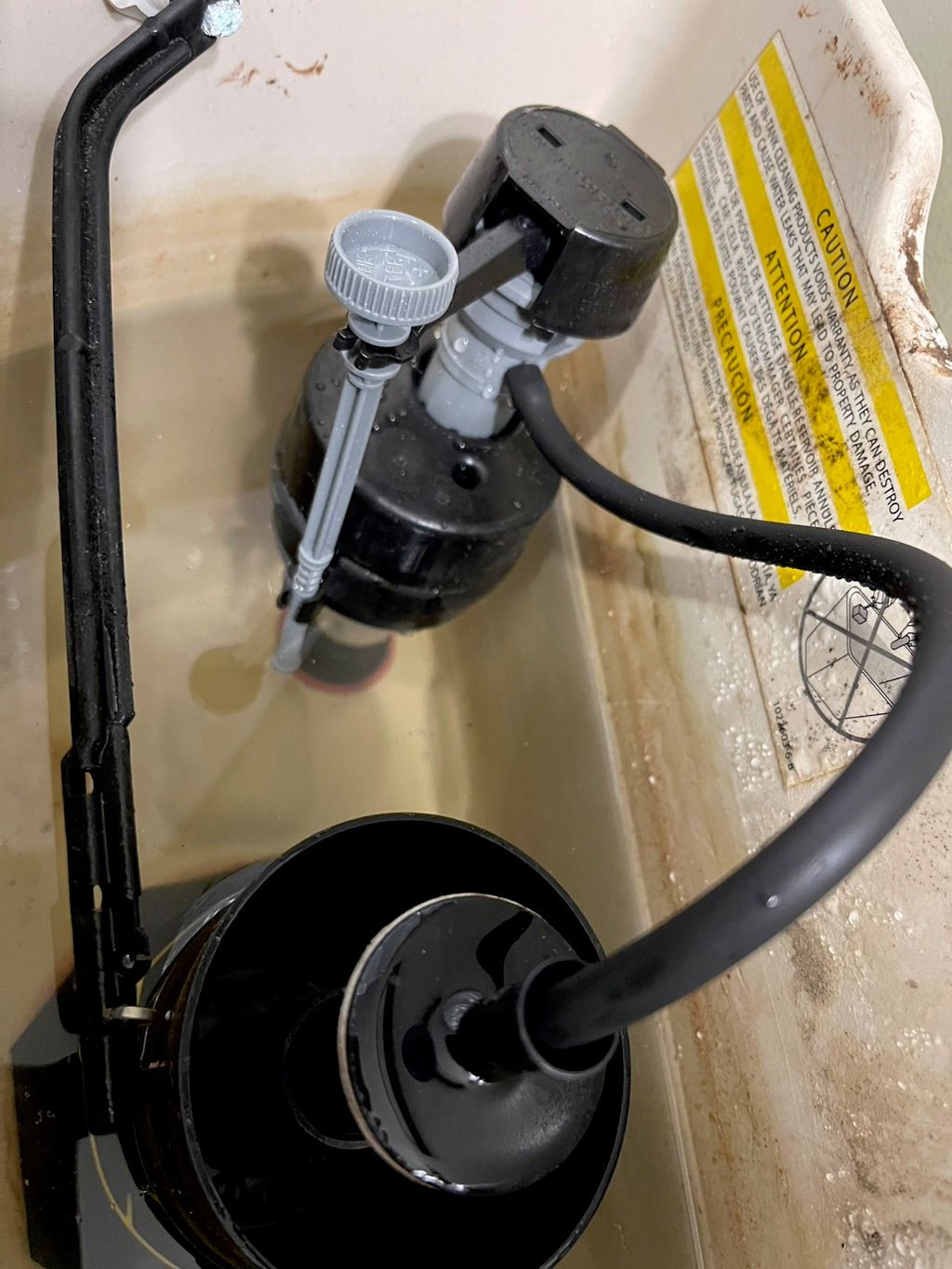 Customer photos