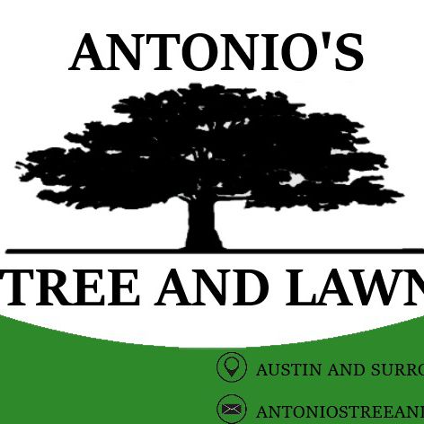 Antonio's Tree and Lawn