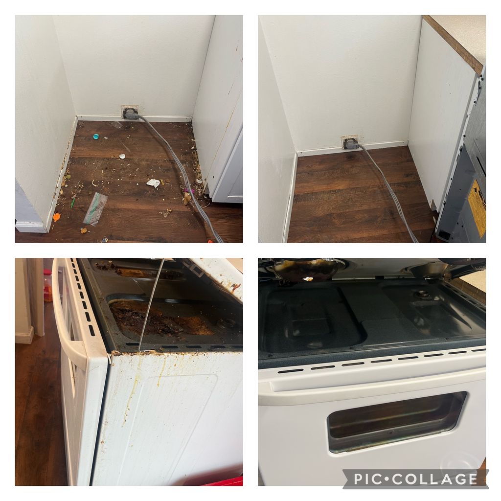 Move-out Cleaning 