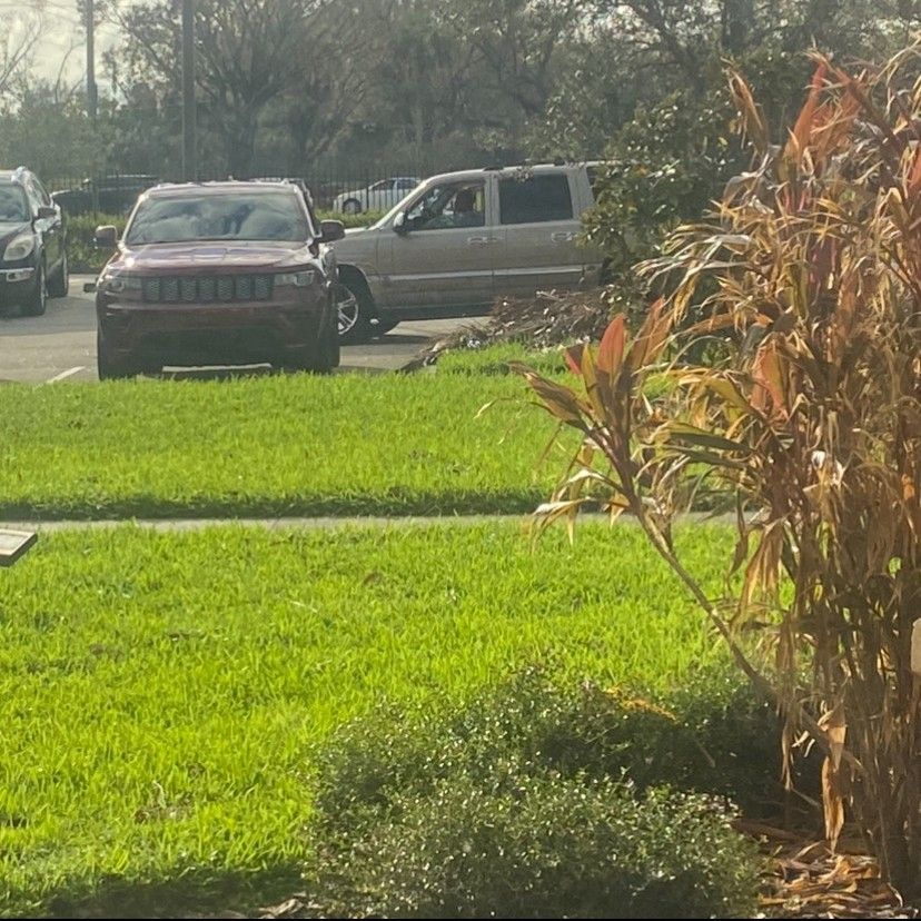 ELITE LANDSCAPING