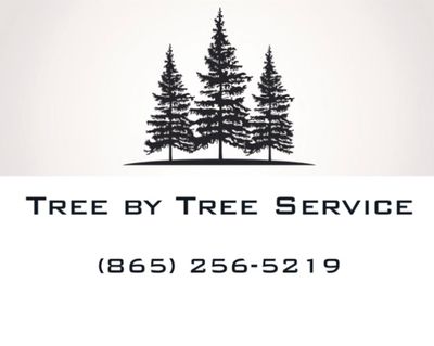 Avatar for Tree by Tree Service