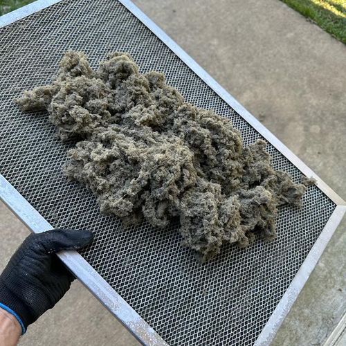 We removed all this dirt from just the connection 