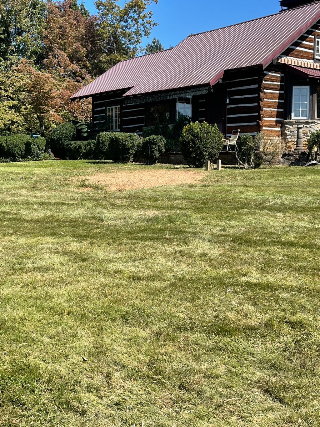 Tree removed stump ground and area cleaned up 