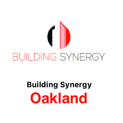 Avatar for Building Synergy