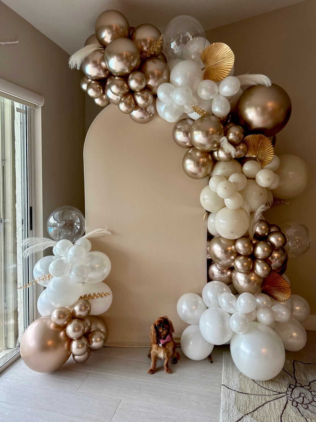 Balloon Decorations