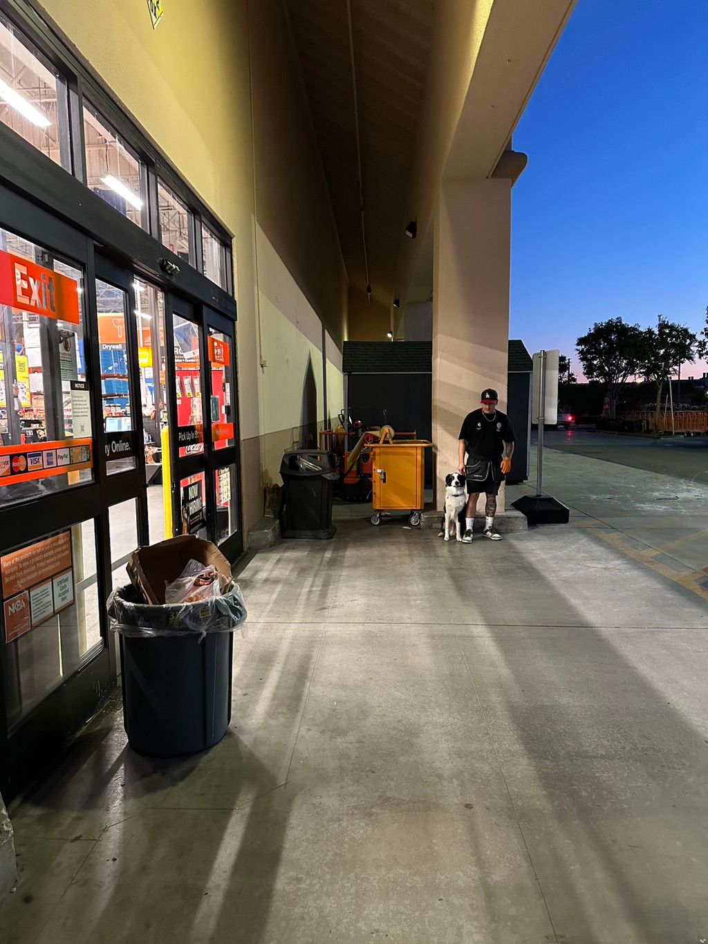 Deebo the Aussie, at Home Depot doing some environ