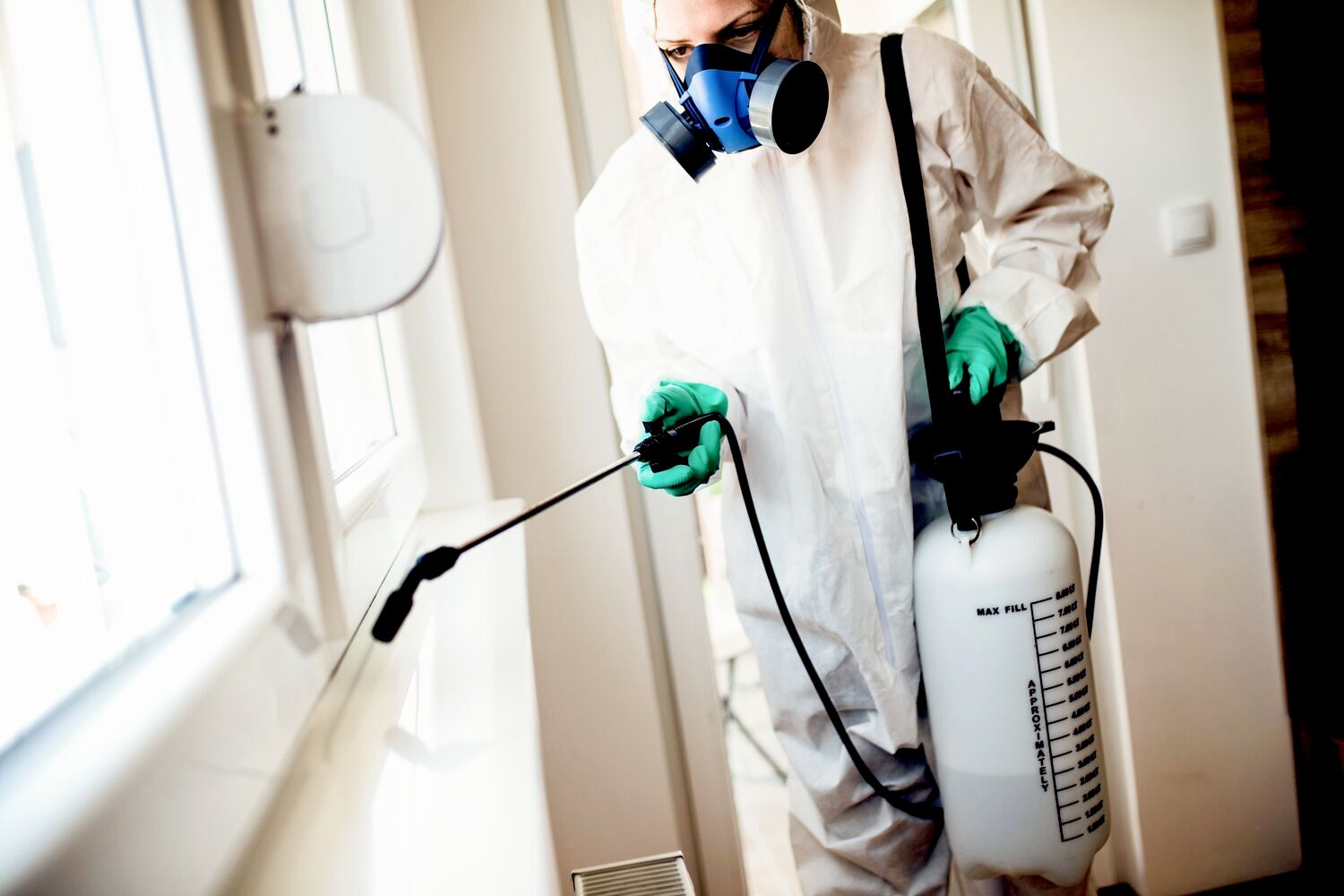 Bat Control Near Me Effective Solutions for Your Property