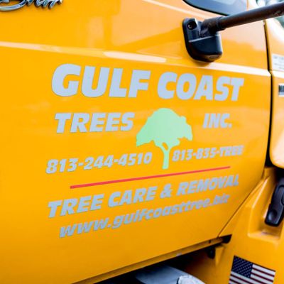 Avatar for Gulf Coast Trees