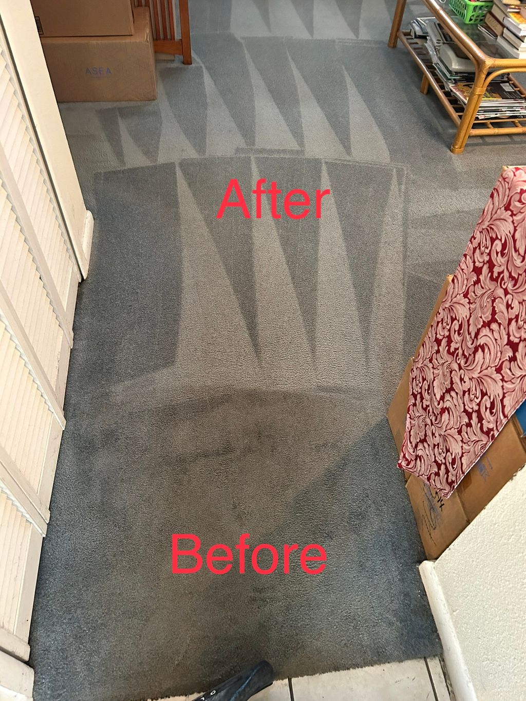 Carpet Cleaning