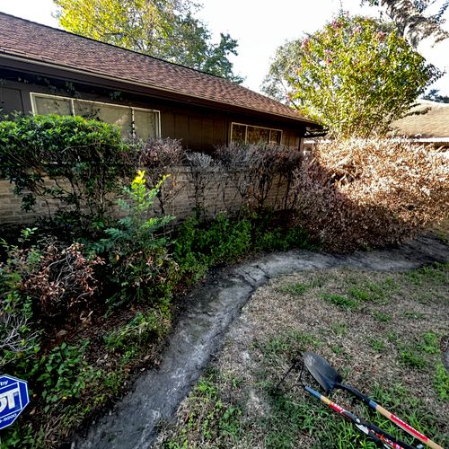 Shrub Trimming and Removal