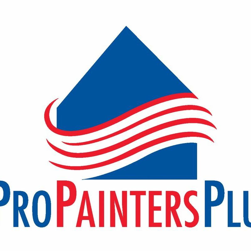Pro Painters Plus LLC