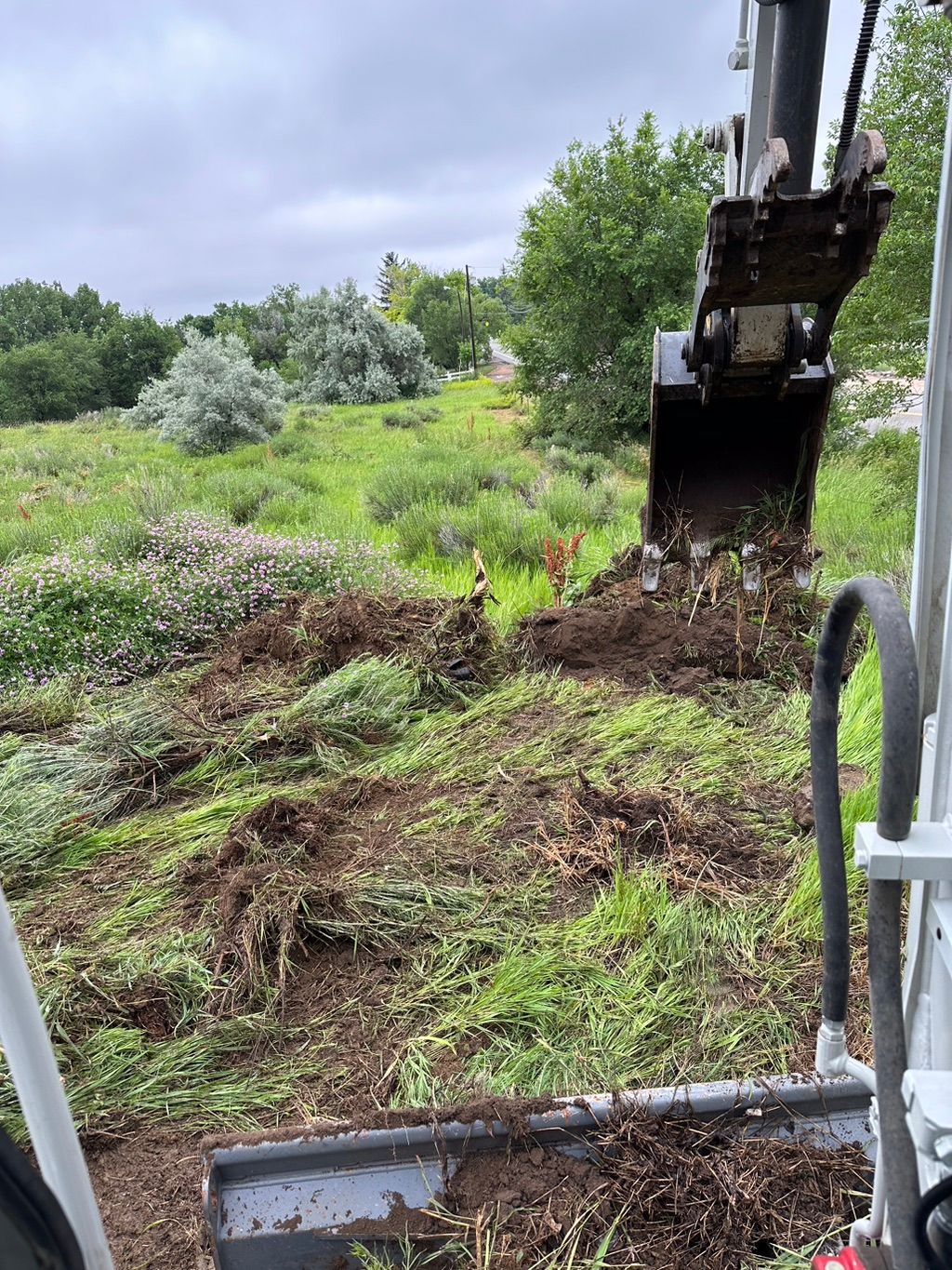 Before pictures for land clearing, terracing, and 