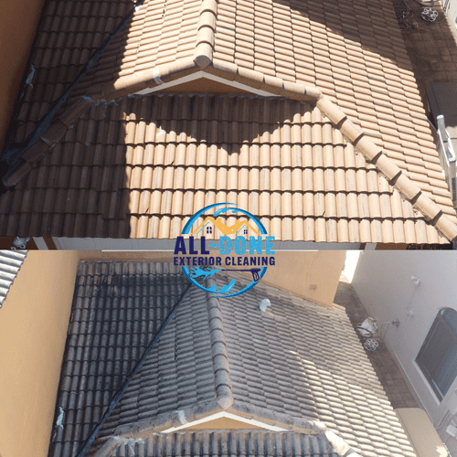 Roof Cleaning