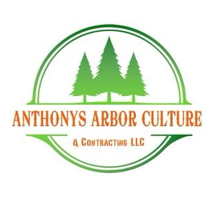 Anthonys arbor culture Llc