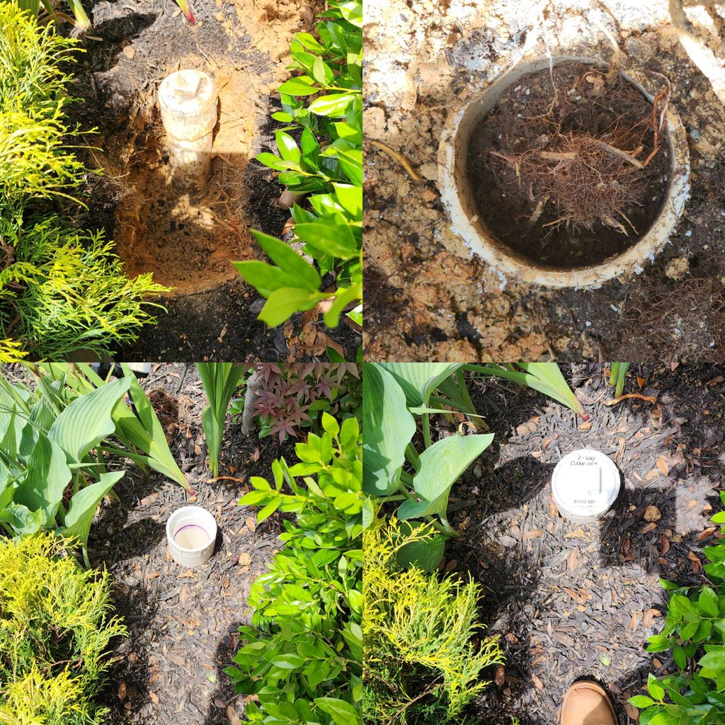 Root removal and clean-out repair