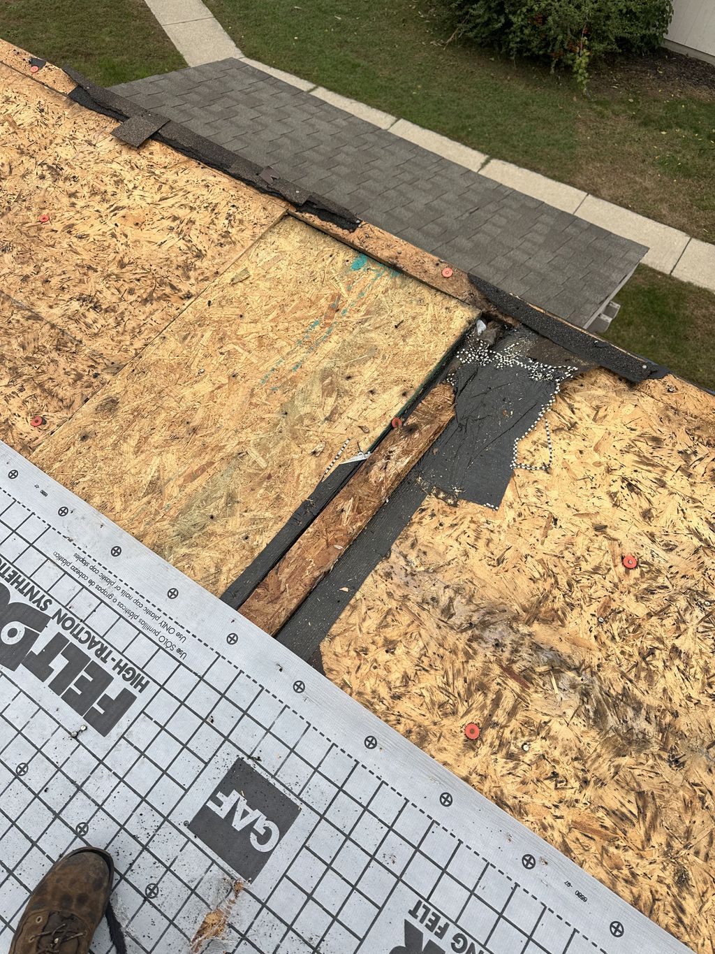 Projects and media