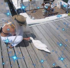 pro avatar