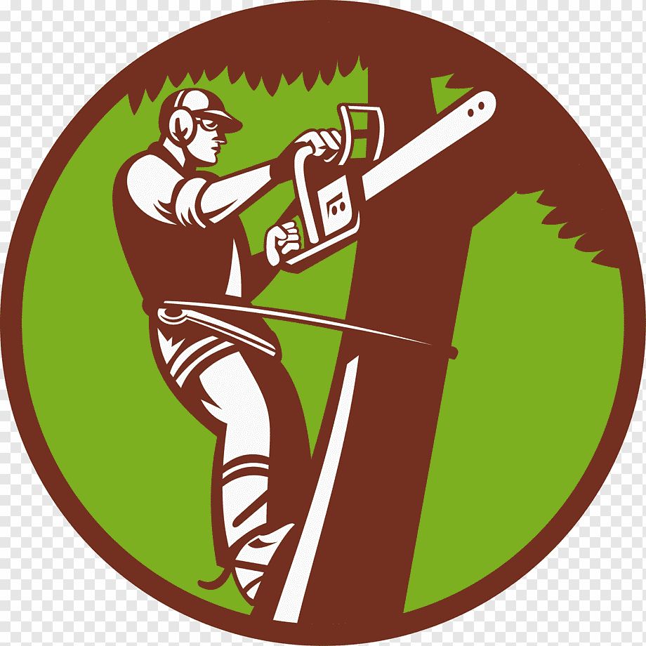 pro avatar