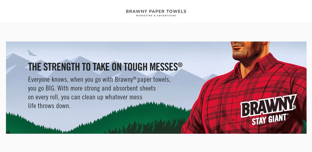 Brawny Paper Towels: Marketing, E-commerce and Bra