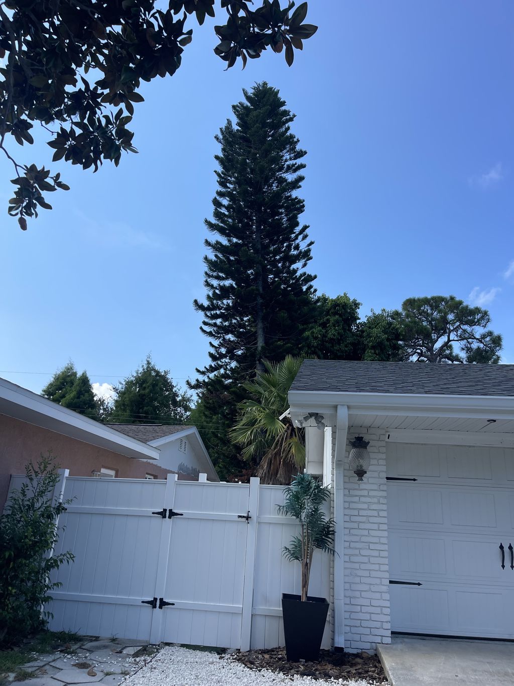 Tree Trimming and Removal