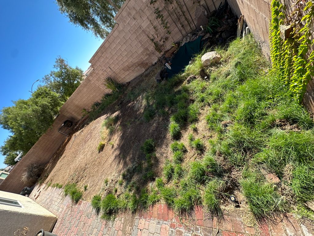 Sod Installation